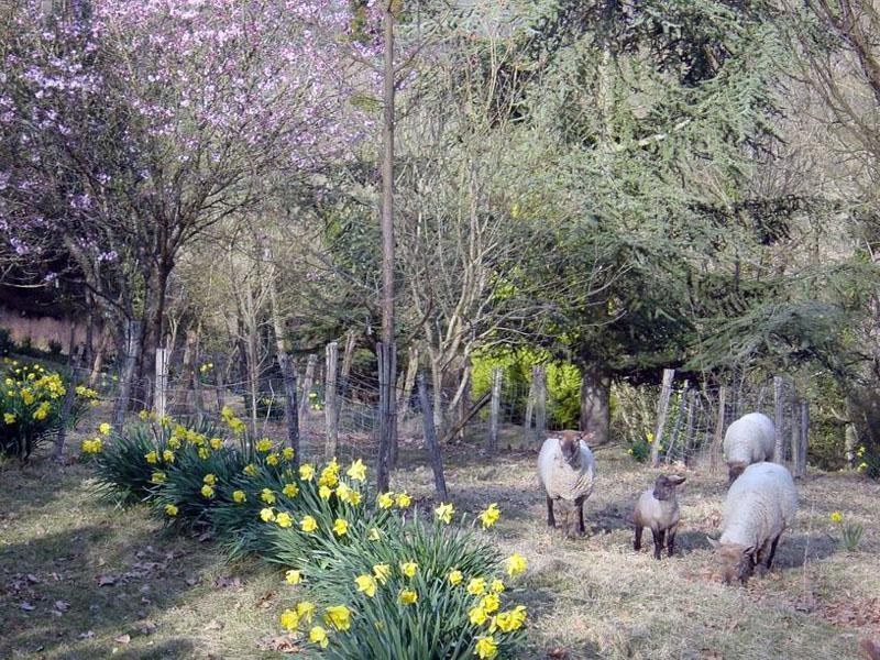 Visitez le jardin botanique